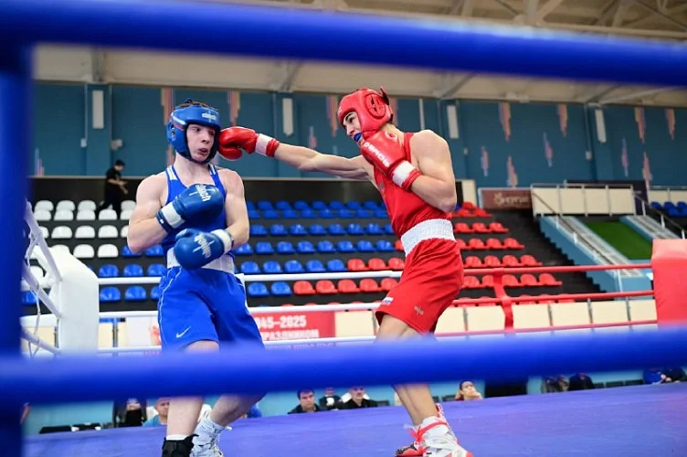 Ростовские боксеры завоевали 21 золотую медаль на областном первенстве в Таганроге