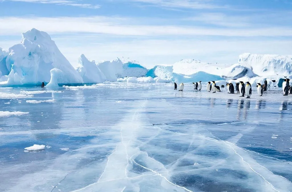 Не будите это: загадочное послание на русском языке в Антарктиде напугало ученых
