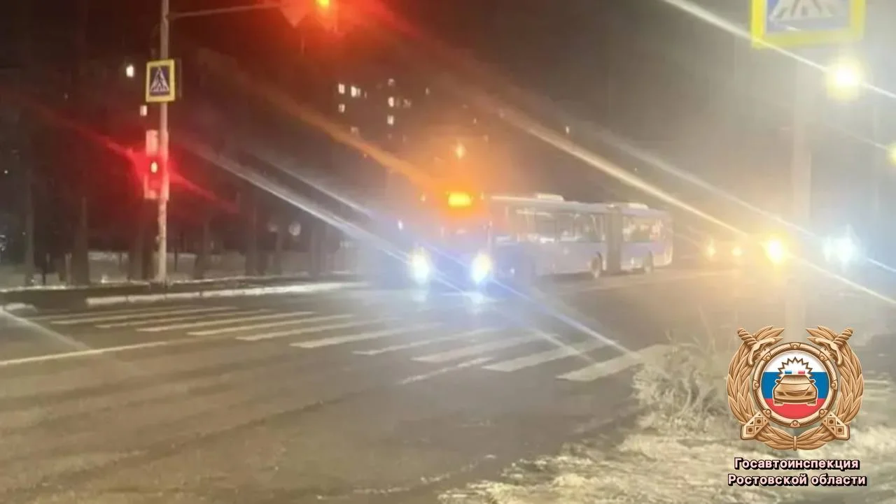 Полиция Ростова разыскивает лихача, сбившего 11-летнюю девочку на Еременко