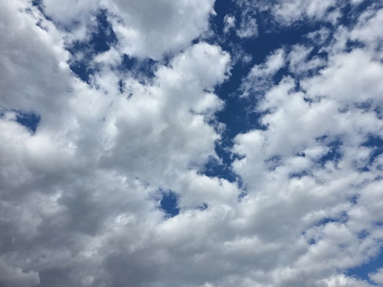 Жителей Ростова напугали сирены в центре города