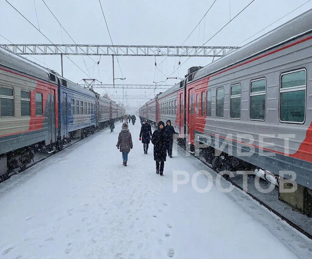 Поезда следующие на Ростов, Краснодар и Адлер остановлены в Воронежской области из-за повреждения жд полотна