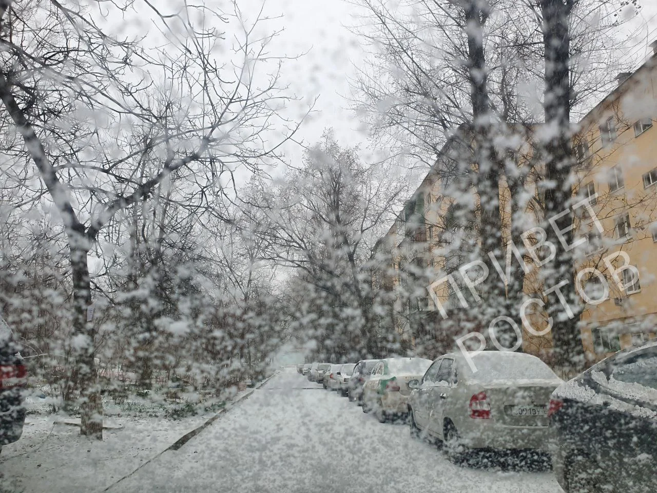 На Ростовскую область идет ледяной шторм с метелями