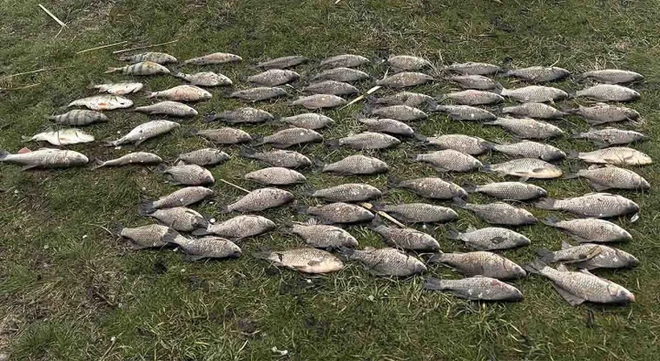 В Пролетарске задержали 59-летнего мужчину за незаконный вылов рыбы