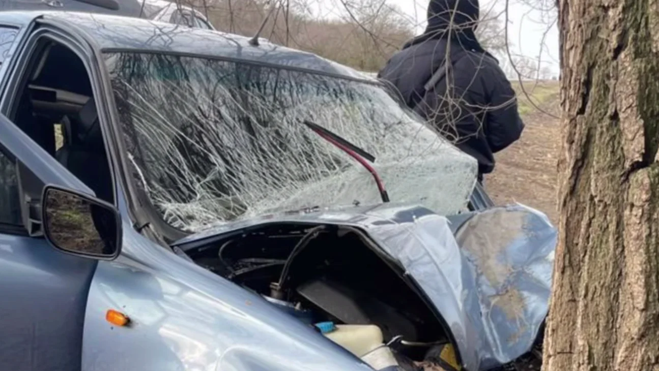 63-летний водитель «Лады» погиб после столкновения с деревом под Ростовом