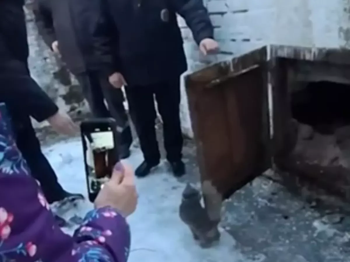Ростовские полицейские спасли, кота заблудившегося в котельной без еды и воды