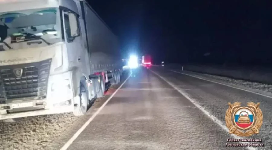 Грузовик насмерть сбил 29-летнего мужчину в Морозовском районе на Дону