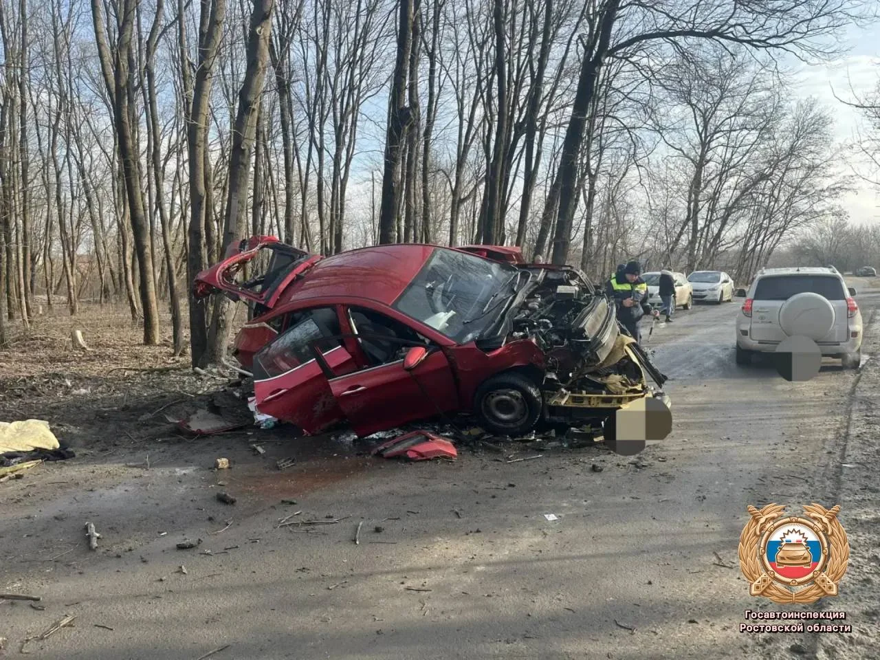 Жуткие подробности ДТП с четырьмя пострадавшими под Ростовом раскрыли в ГАИ