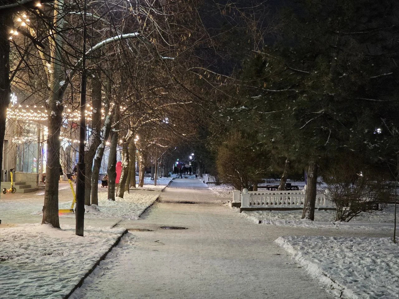 Ростов-на-Дону ввел режим повышенной готовности из-за сильного снегопада