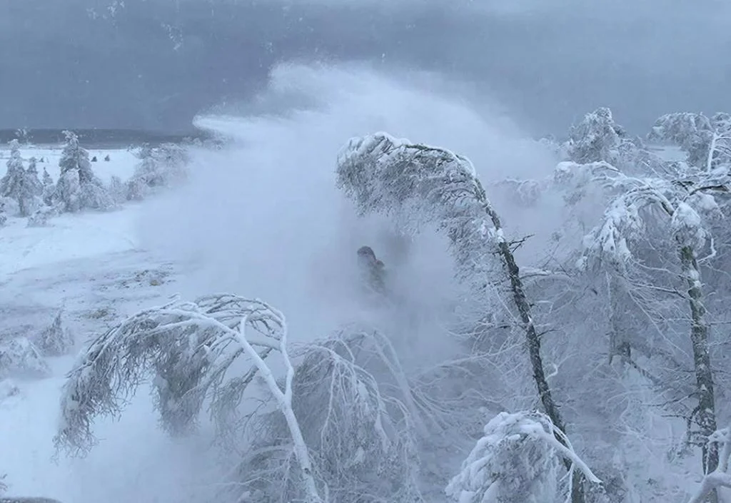 На Дону спасатели объявили о штормовом предупреждение на 16 февраля
