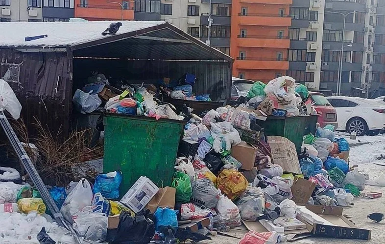 Министр ЖКХ Пшеничная отреагировала на массовые жалобы о невывозе мусора в Ростове