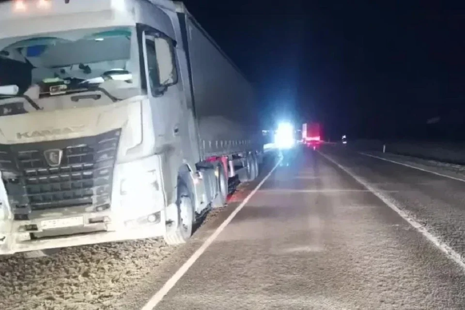 КамАЗ под Ростовом совершил смертельный наезд на мужчину в темноте