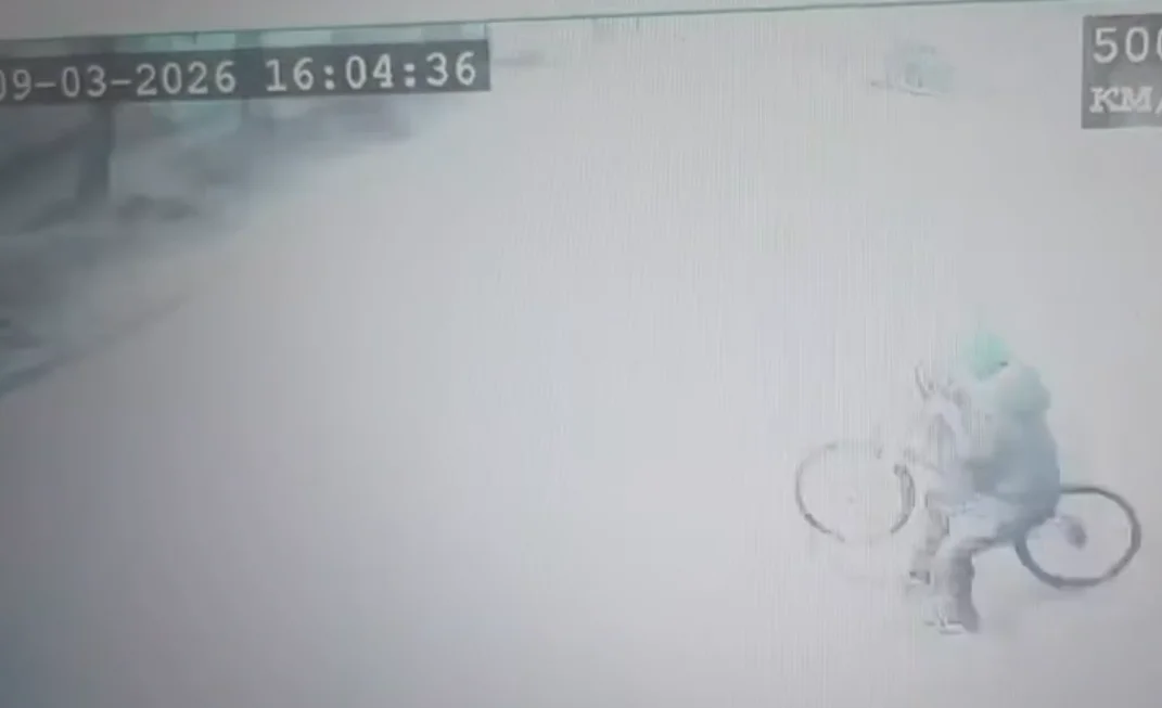 Автобус впечатался в дерево на Интернациональной в Ростове из-за велосипедиста