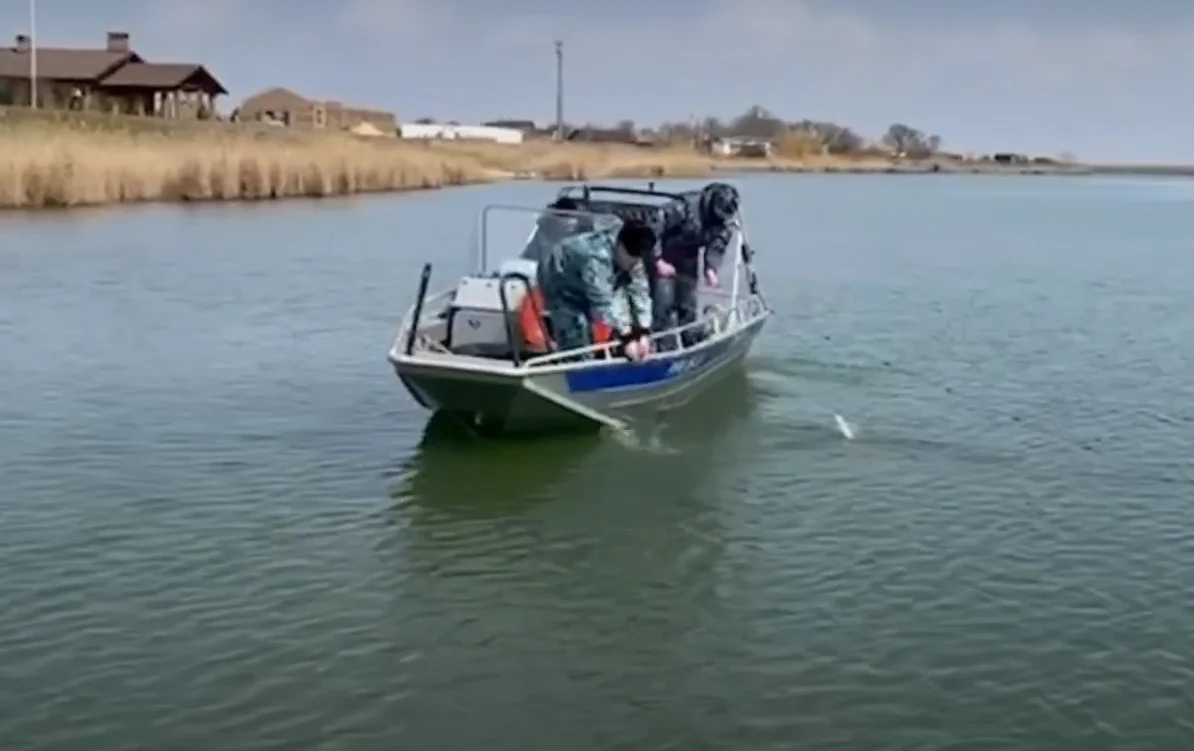 9 тысяч раков выпустили на свободу в Ростовской области