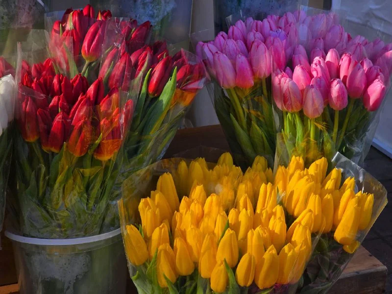 Солнце и тепло придут в Ростовскую область на 8 Марта