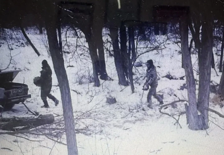 Две белые акации обошлись жителю Ростовской области в 66 тысяч и уголовное дело