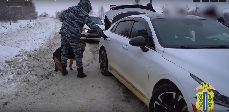 Овчарка Сильва нашла 5 кг наркотиков в тайнике Kia ростовчанина под Липецком