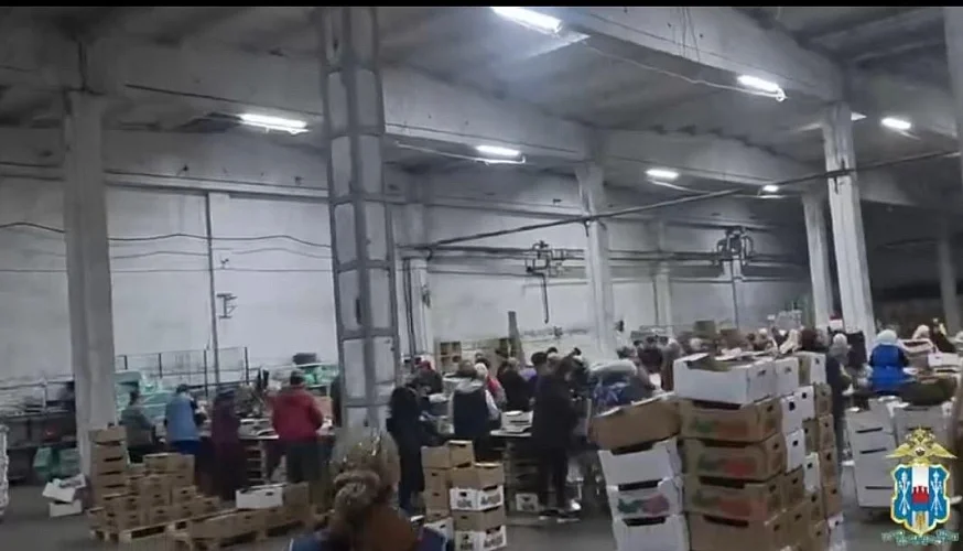 12 мигрантов отправят на родину после рейда на складе в Самарском на Дону