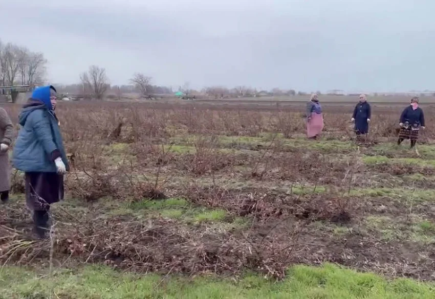 Нелегальных мигрантов на полях под Аксаем накрыла полиция