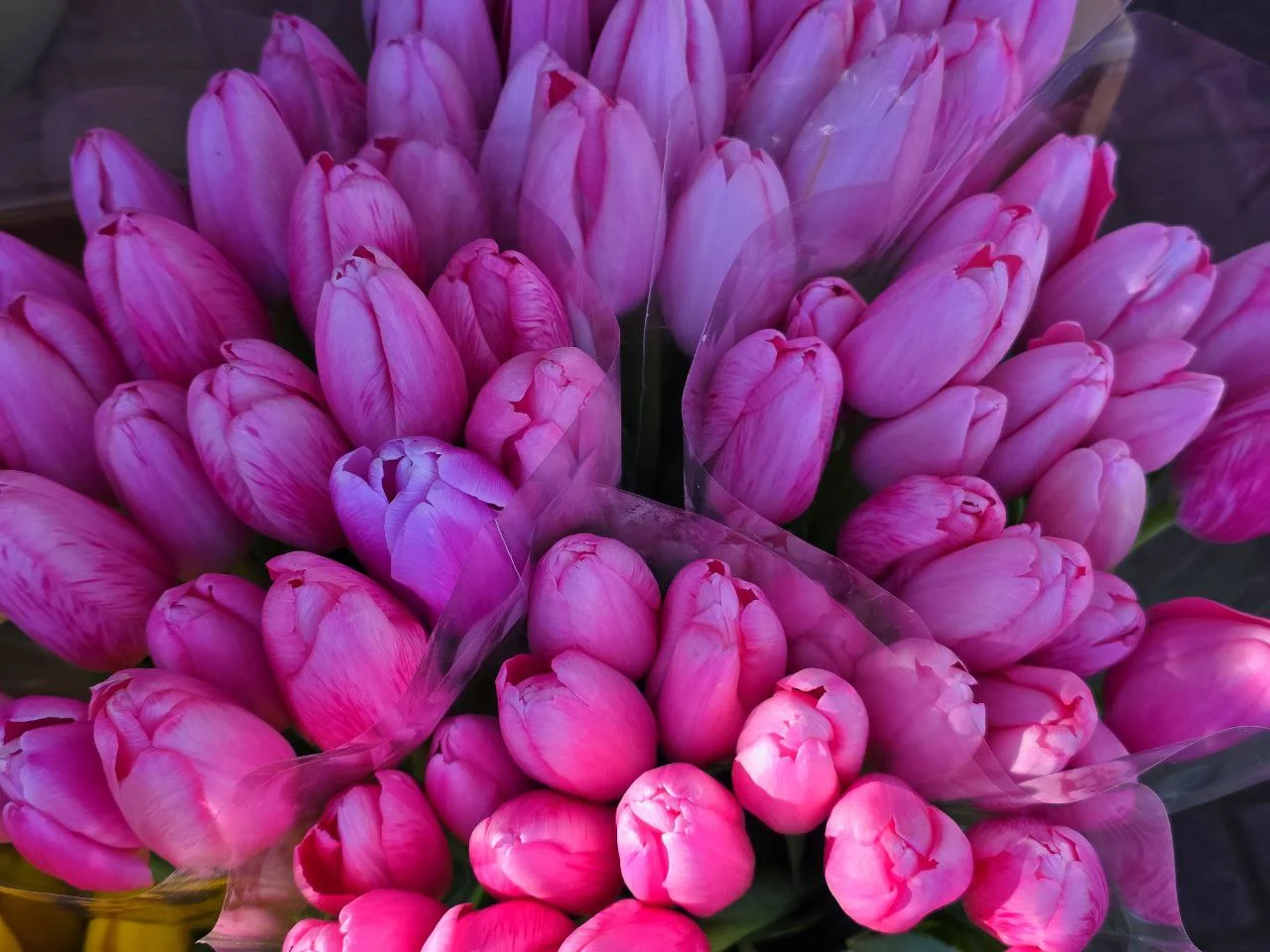 Мошенники придумали новую схему обмана перед 8 Марта: все происходит в чатах