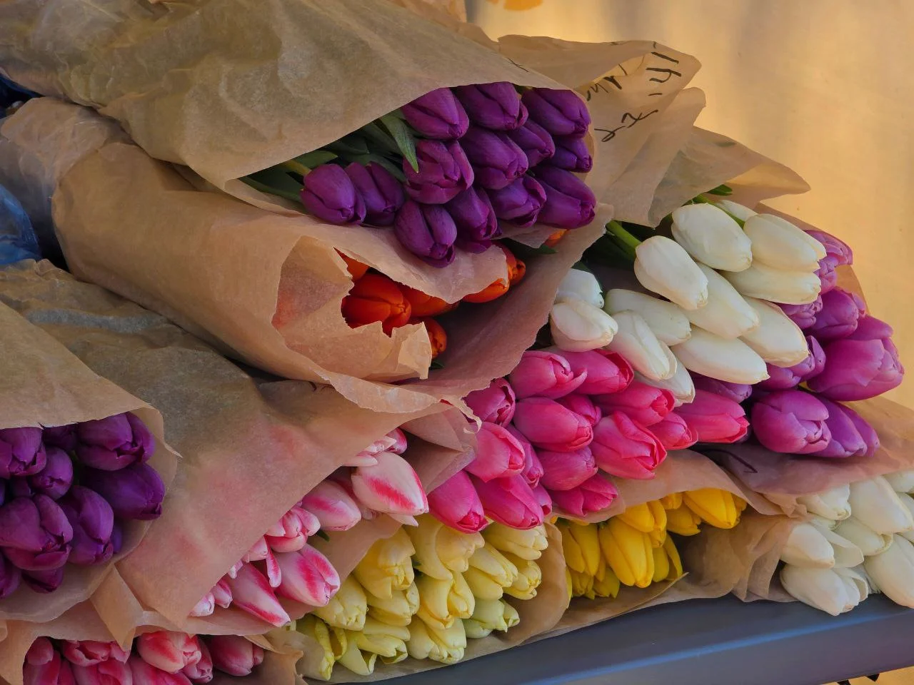 Эксперт Золотарева развеяла миф о суперспособности цветов очищать воздух в доме