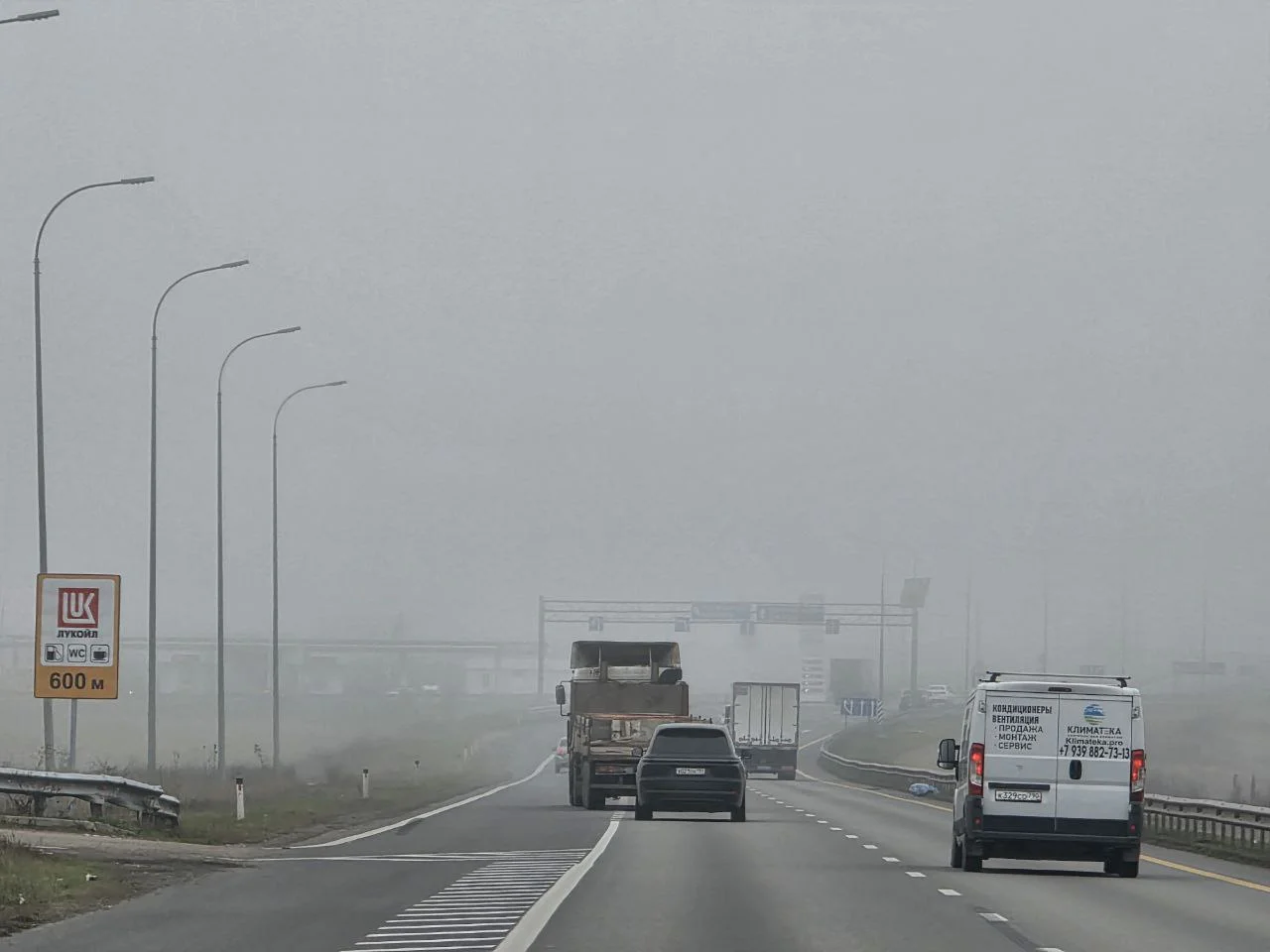 В Ростовской области объявили желтый уровень опасности из‑за ветра и тумана