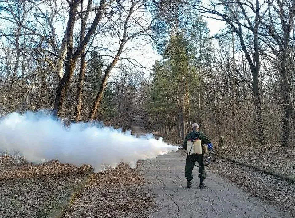 Ростовские парки начали обрабатывать ядом с марта
