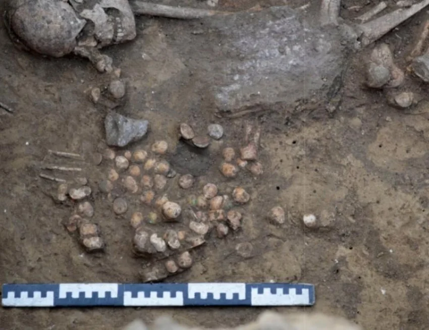 Учёные нашли на Дону древнюю игру с 50 фишками