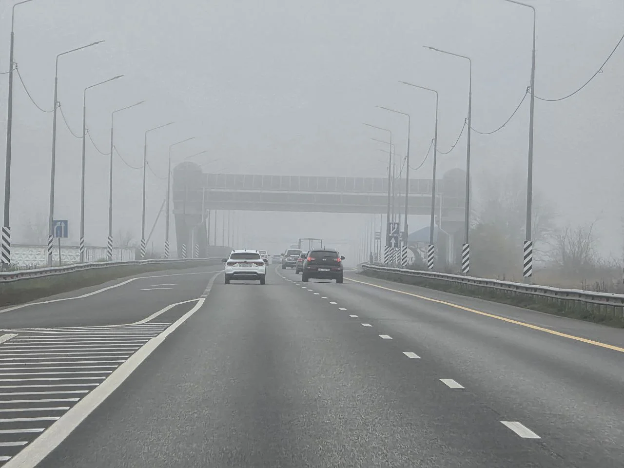Туманы осложнили движение на трассах Ростовской области