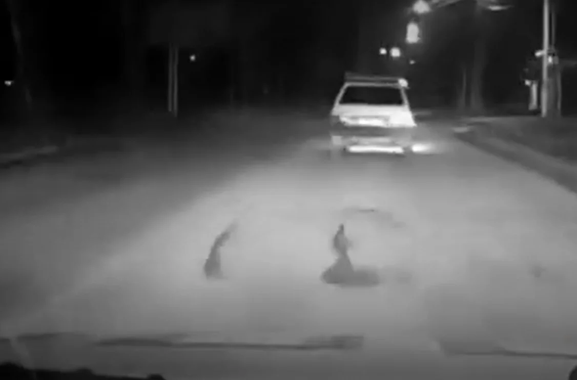 Ночной зумер из Ростова устроил погоню с ДПС и протаранил патрульную машину