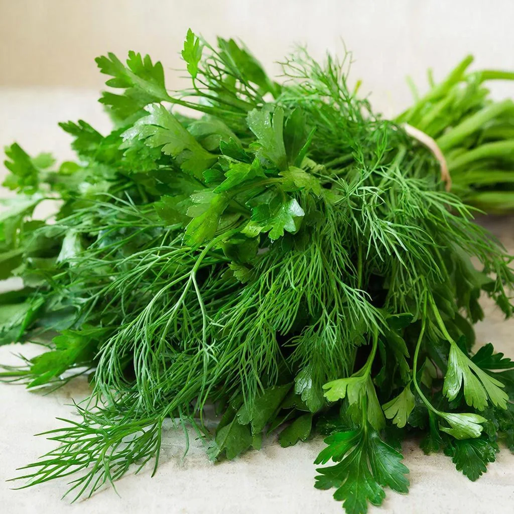 Укроп и петрушка дольше не вянет: эксперты рассказали, как правильно хранить в морозилке зелень
