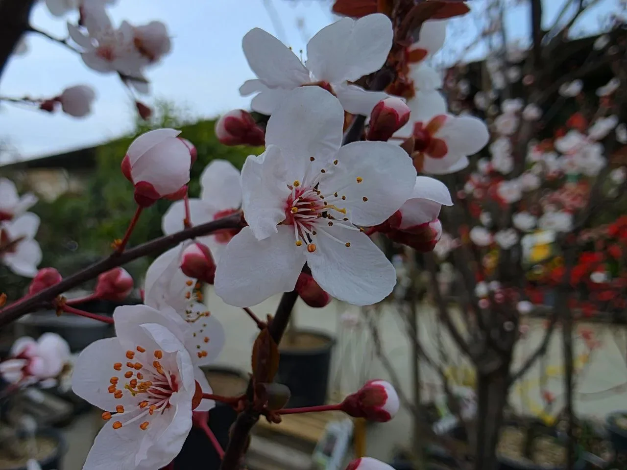 Метеоролог Ильин обяъснил, когда на Дону кончится апрельский холод