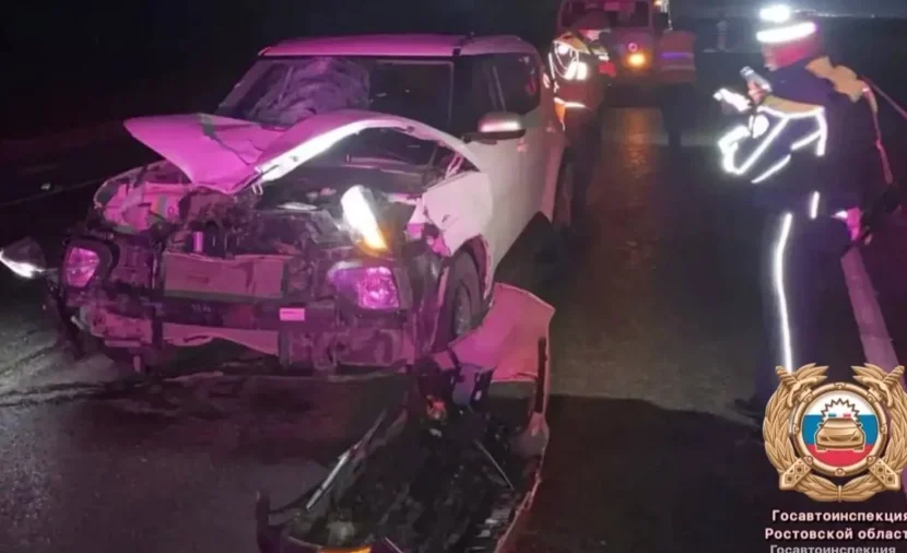 Женщину в темной одежде насмерть сбили на трассе в Ростовской области