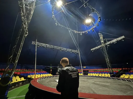 Следователи ищут очевидцев по делу беглого циркового тигра в Ростове