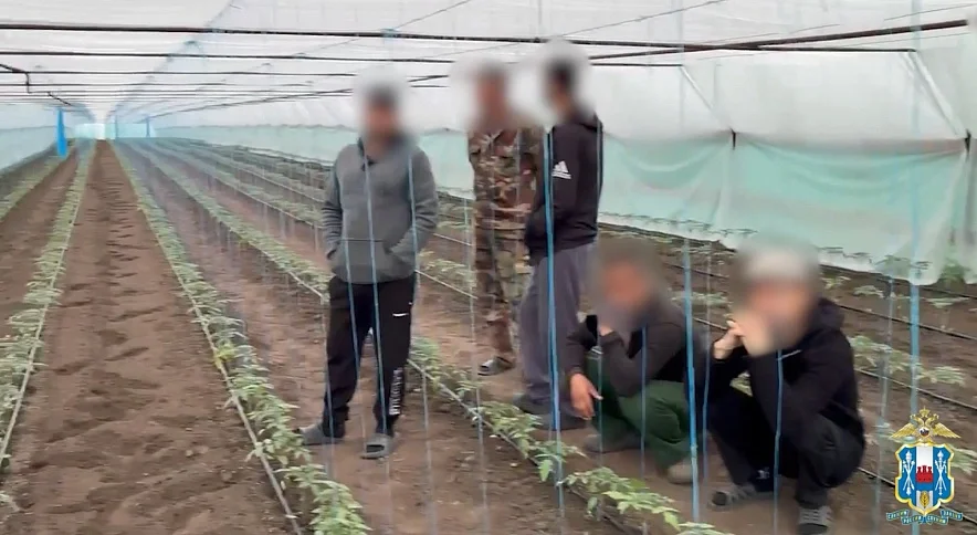 В Ростовской области выявили 28 нарушений миграционного законодательства