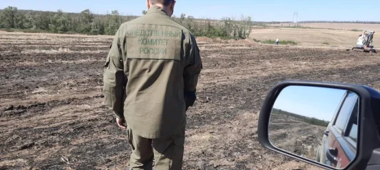 Задержан подозреваемый в убийстве месячной давности в Донском регионе