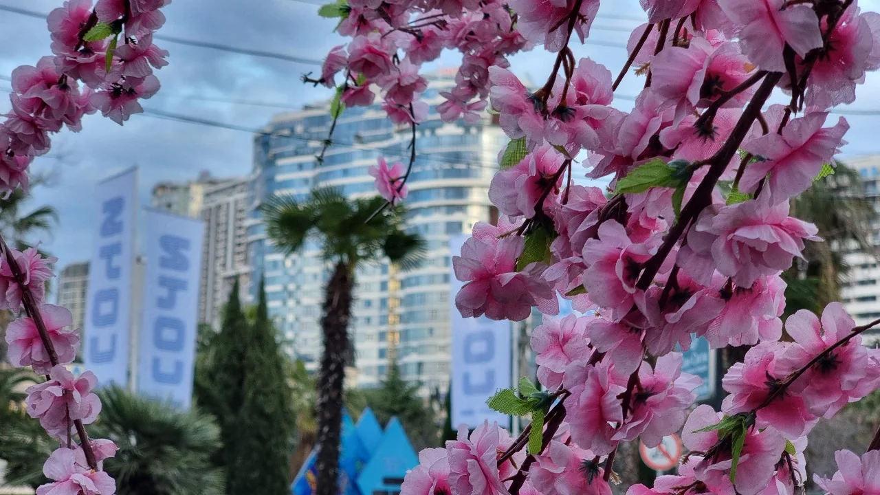 ВТБ и OneTwoTrip узнали, куда россияне поедут на майские праздники