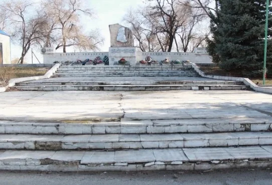Бастрыкин затребовал доклад о состоянии мемориала «Скорбящая мать» в Миллеровском районе