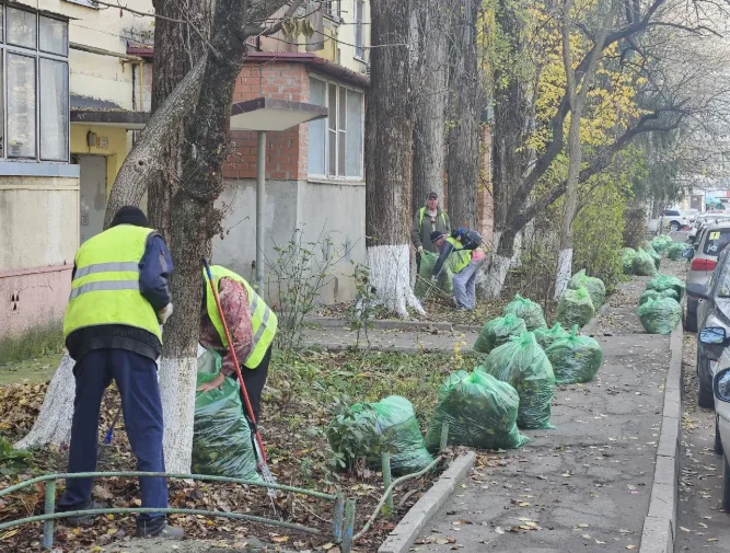 Субботники помогли: Ростовская область оказалась самым чистым регионом