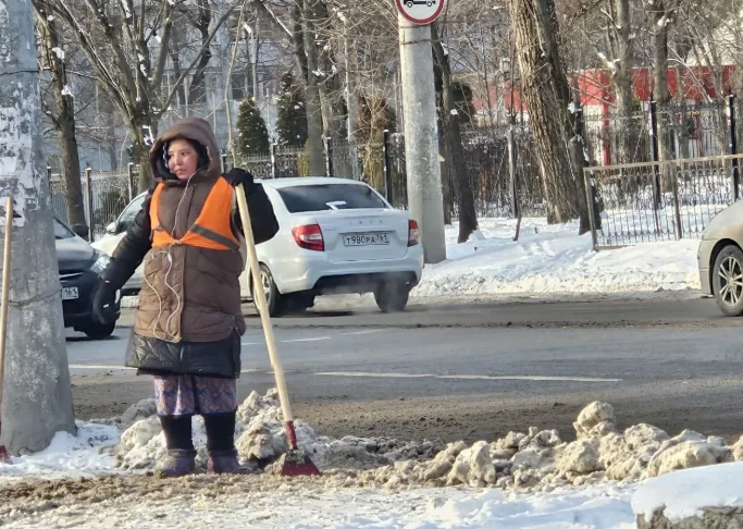 1360 дворников-неведимок хотят пересчитать власти в Ростове