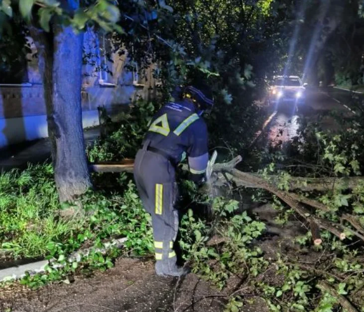 В Таганроге после урагана пострадали 15 автомобилей, без света тысячи домов