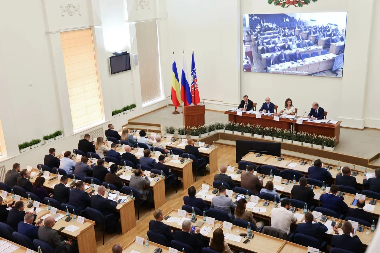 Депутаты Ростовской Думы заслушали отчет о противодействии чрезвычайным ситуациям в 2025 году и текущем периоде 2026 года