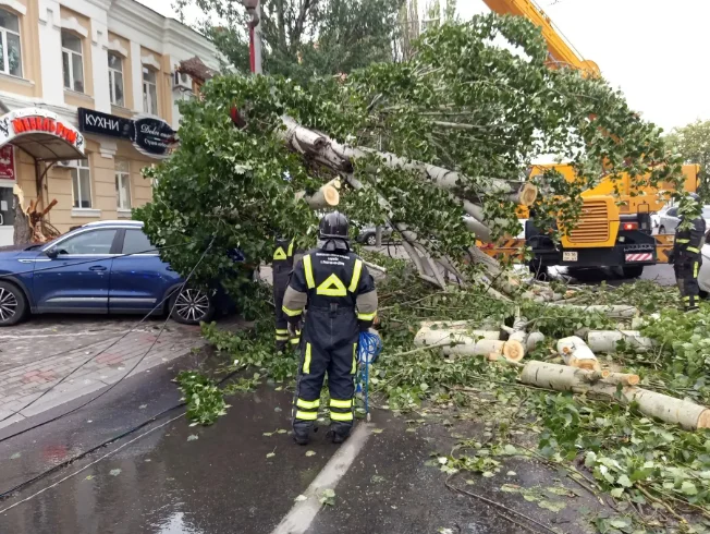 В Ростове упало 37 деревьев из-за ливня и града, спасатели разгребают завалы