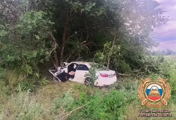 В Ростовской области машина врезалась в дерево на трассе