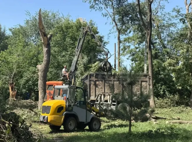 Парки и зоопарк Ростова продолжают устранять последствия шторма века