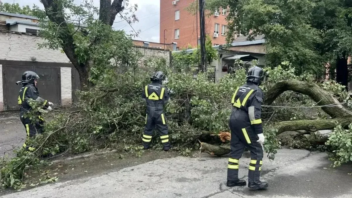 По всему Ростову введен режим чрезвычайной ситуации из-за урагана