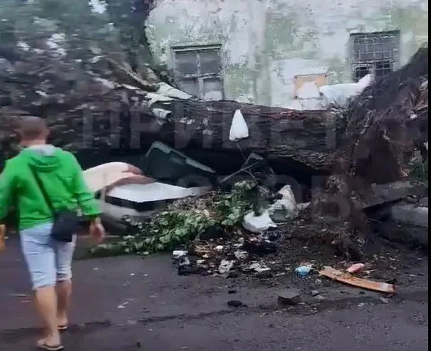 В Ростове после шторма века пострадало 13 человек, 7 госпитализировано, один погиб