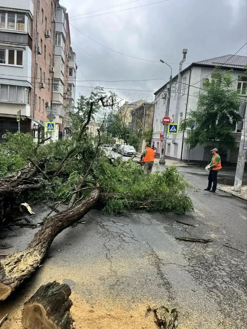 Шторм в Ростовской области унес жизнь одного человека, еще 51 получил травмы