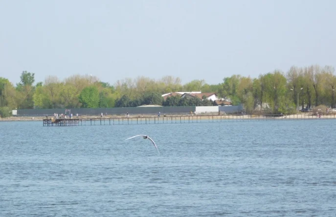 Мужчину вывели из воды во время купания в запрещенном месте на Дону