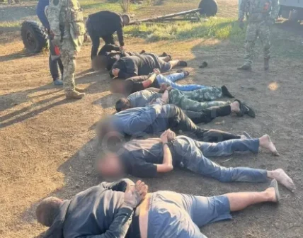 Пять жителей Дона предстанут перед судом за кражу 59 коров