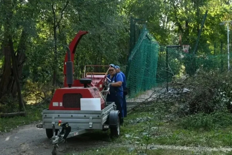 Ростов ещё не оправился от урагана, коммунальщикам поручили ускорить уборку